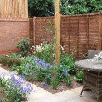 Courtyard garden